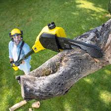 Best Lawn Pest Prevention  in Martindale, TX