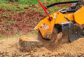 Best Tree Mulching  in Martindale, TX